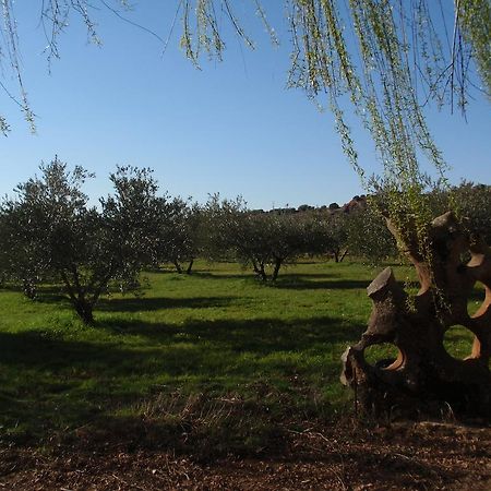 Penzion El Molino De Iramala Reolid Exteriér fotografie