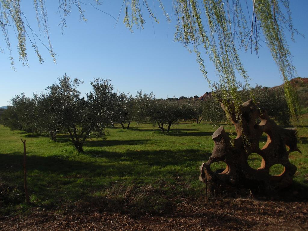 Penzion El Molino De Iramala Reolid Exteriér fotografie