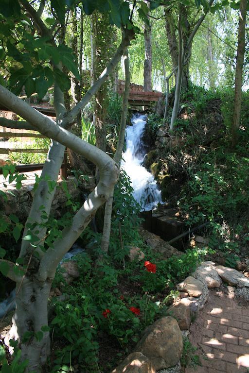 Penzion El Molino De Iramala Reolid Exteriér fotografie