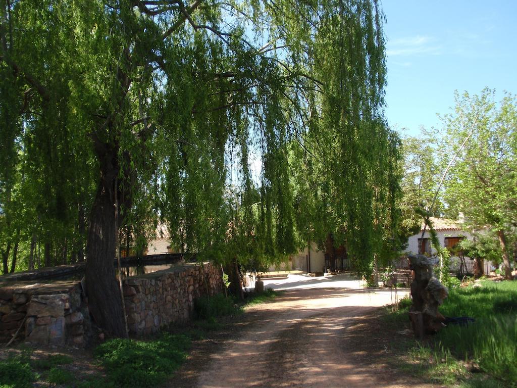 Penzion El Molino De Iramala Reolid Exteriér fotografie